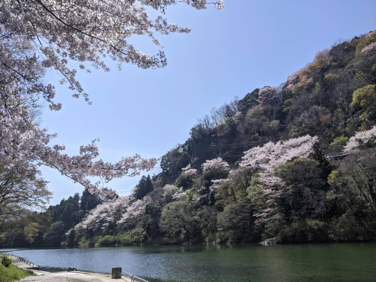 加美屋リゾート伊勢神宮 おかげの庭 Villa Ise Esterno foto